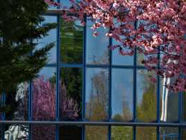 Méli mélo de reflets