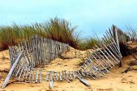 sur la dune du bassin