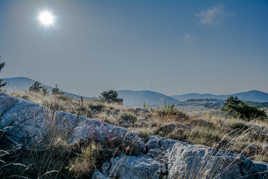 Plateau de Caussols