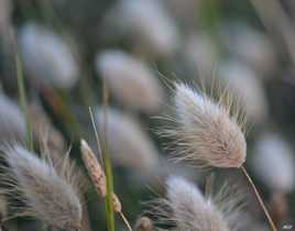 Douceur nature couleur