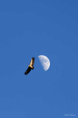 Quand tu tutoies les astres...