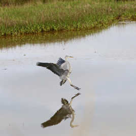 Atterrissage imminent