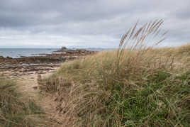 Vers la marée basse