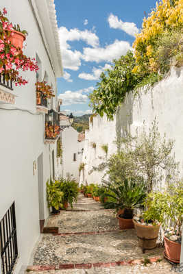 Frigiliana, une ruelle 18