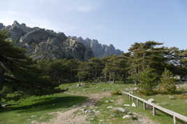 En arpentant l'Alta Rocca.