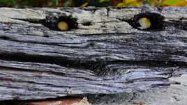 Vous êtes observés!