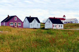 Iles aux Marins