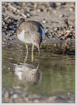 Miroir mon beau miroir !