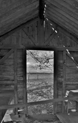 Ma cabane au canada ...