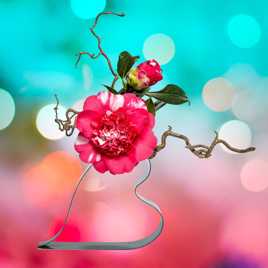 Fleur de camélia (V2)