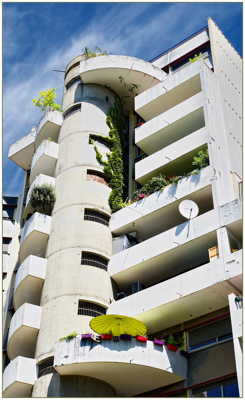 Un peu de verdure urbaine