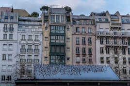 Les pigeons de Paris