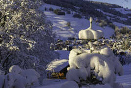 Neige à tous les étages