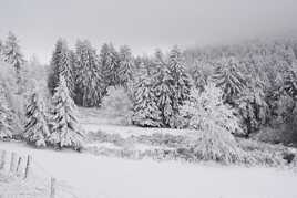 Meilleurs voeux à tous les locos