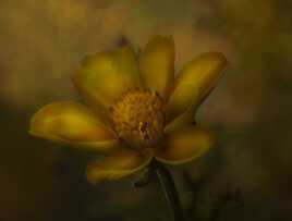 Comme une peinture !!