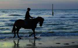 The shadow of a horseman