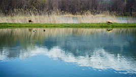 ils ne nous ont pas vu