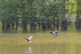 attachez vos ceintures