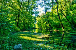 Welcome to the jungle V2