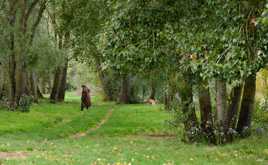 Mais ne le regarde pas.