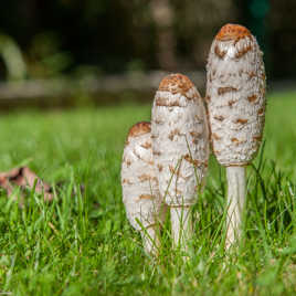 bon appétit.....  **