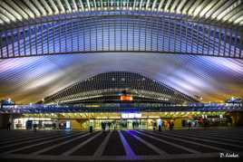 les Guillemins de nuit.3