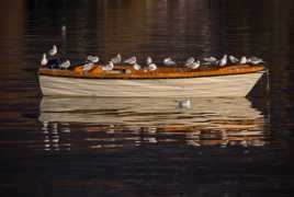 Promis, on le nettoie après !