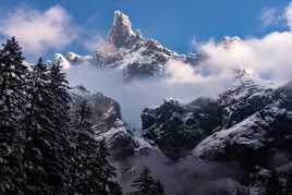 les cornes du chamois 2