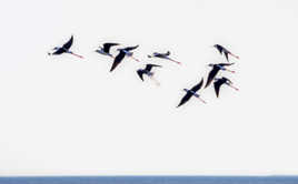 La grâce est dans le ciel !