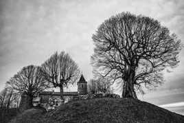 le tilleul de Sully d'Innimond