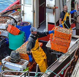 Les travailleurs de la mer (2)