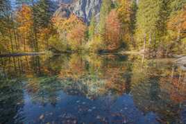 Reflets d automne