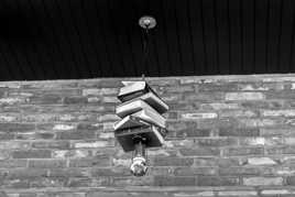 La connaissance nius éclaire.