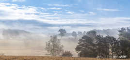 Brume sur le marais