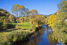 De l'or dans la nature