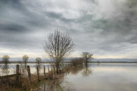 Saône ( innondation )
