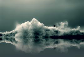 la Vague et l'Oiseau...