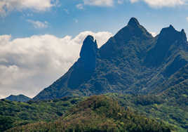 La religieuse en prière