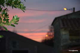 la nature à la nuit tombé