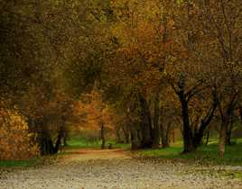 Le sentier des couleurs