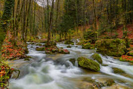 Le Hérisson en automne