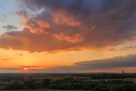 soleil couchant sur les vignes nantaises