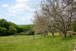 Campagne au printemps