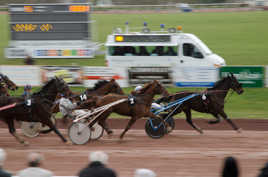 un dimanche sur l'hypodrome