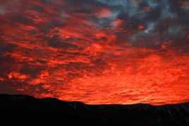 Et la petite dernière