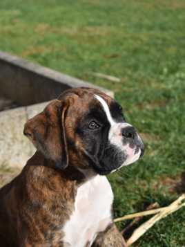 Regard vers l'avenir...