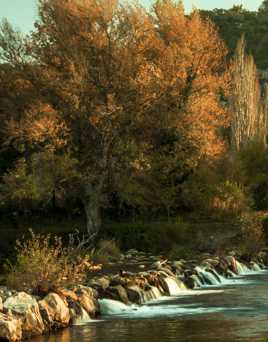 Et au milieu coule une rivière