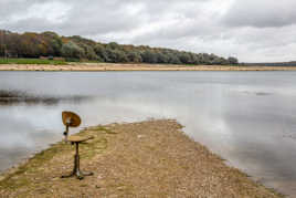 Vous trouvez ça absurde ?