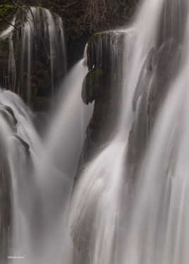 la nature fait bien les choses