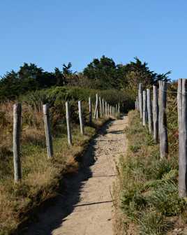 Petit chemin qui sent l'océan